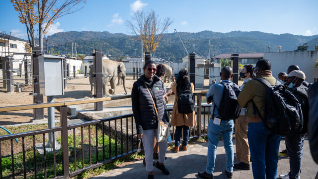CALL FOR AFRICAN STUDENTS TO VISIT JAPAN: Application Guidelines for IAfP Sakura Invitation Program – Kyoto University –